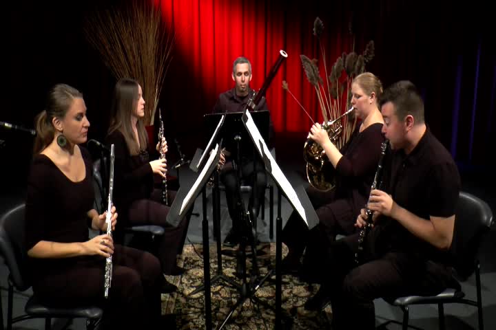 Thumbnail image for Baby Blue Arts Presents - Pavia Wind Quintet