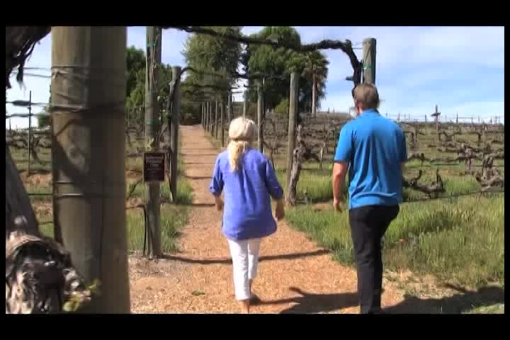 Thumbnail image for Cooking and Kids with Vlada Vladic - Green Power Salad