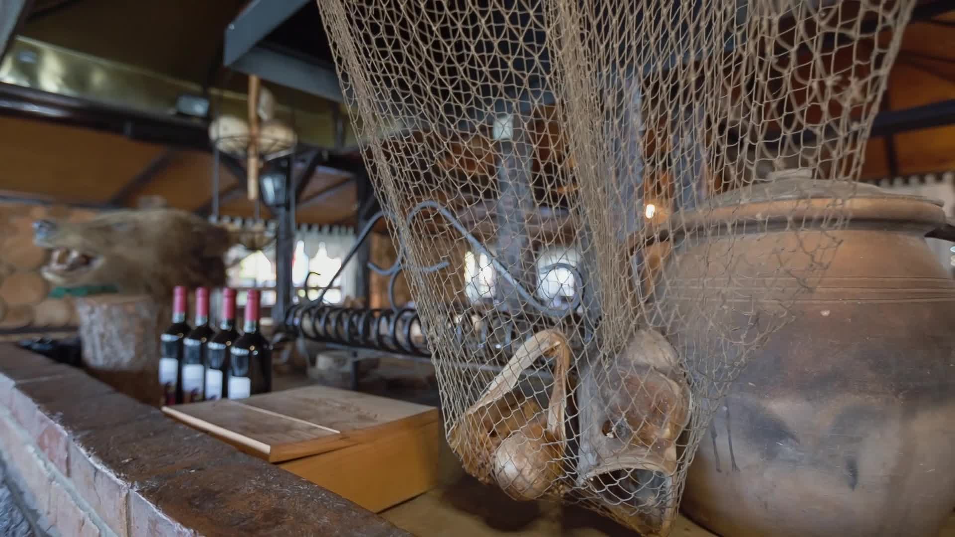 Thumbnail image for Cooking and Kids with Vlada Vladic - Who Would Eat This