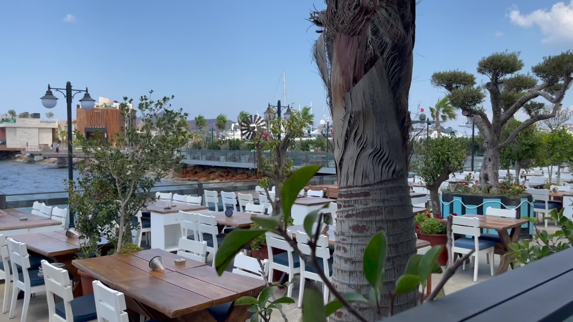 Thumbnail image for Cooking and Kids with Vlada Vladic - Ancient Desserts - Turkey