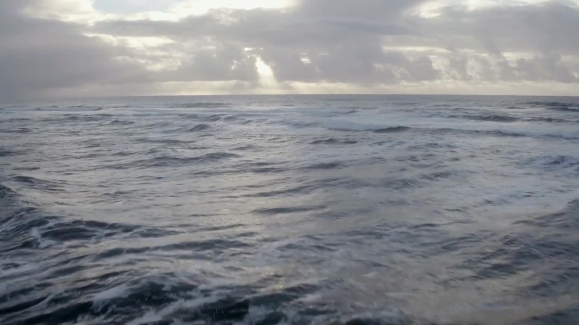 Thumbnail image for Into The Outdoors - Reconnecting Rivers & Invasive Species