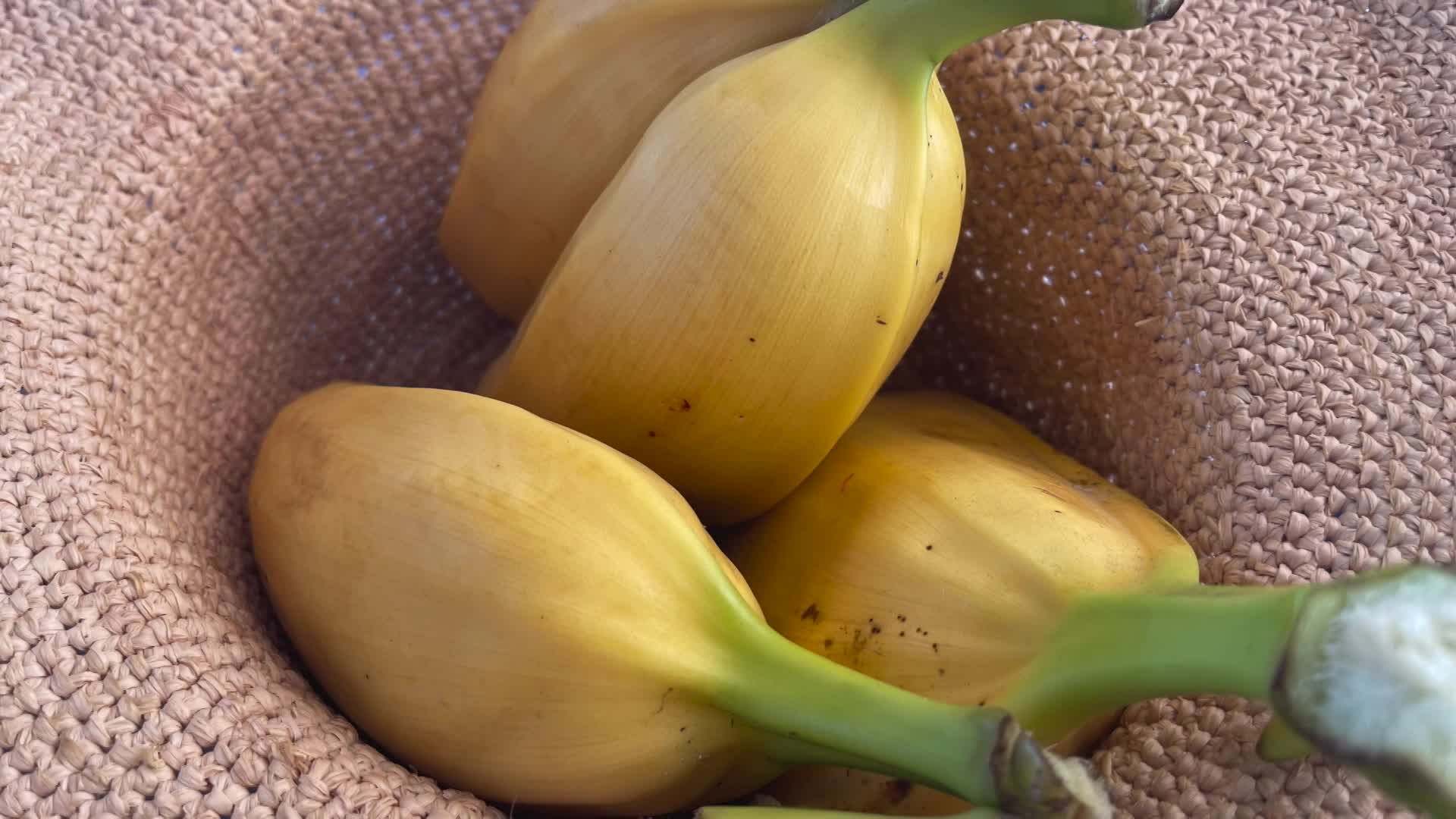 Thumbnail image for Cooking and Kids with Vlada Vladic - Coconut Dessert in Fiji
