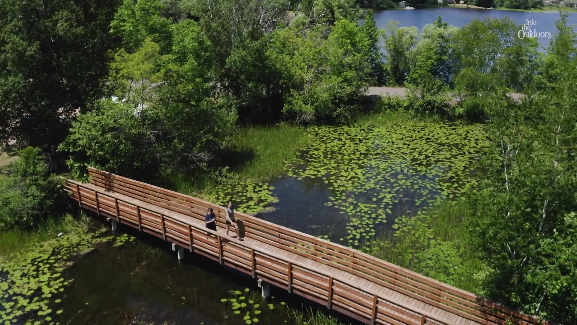 Thumbnail image for Into The Outdoors - Into Bringing Back Wisconsin's Elk