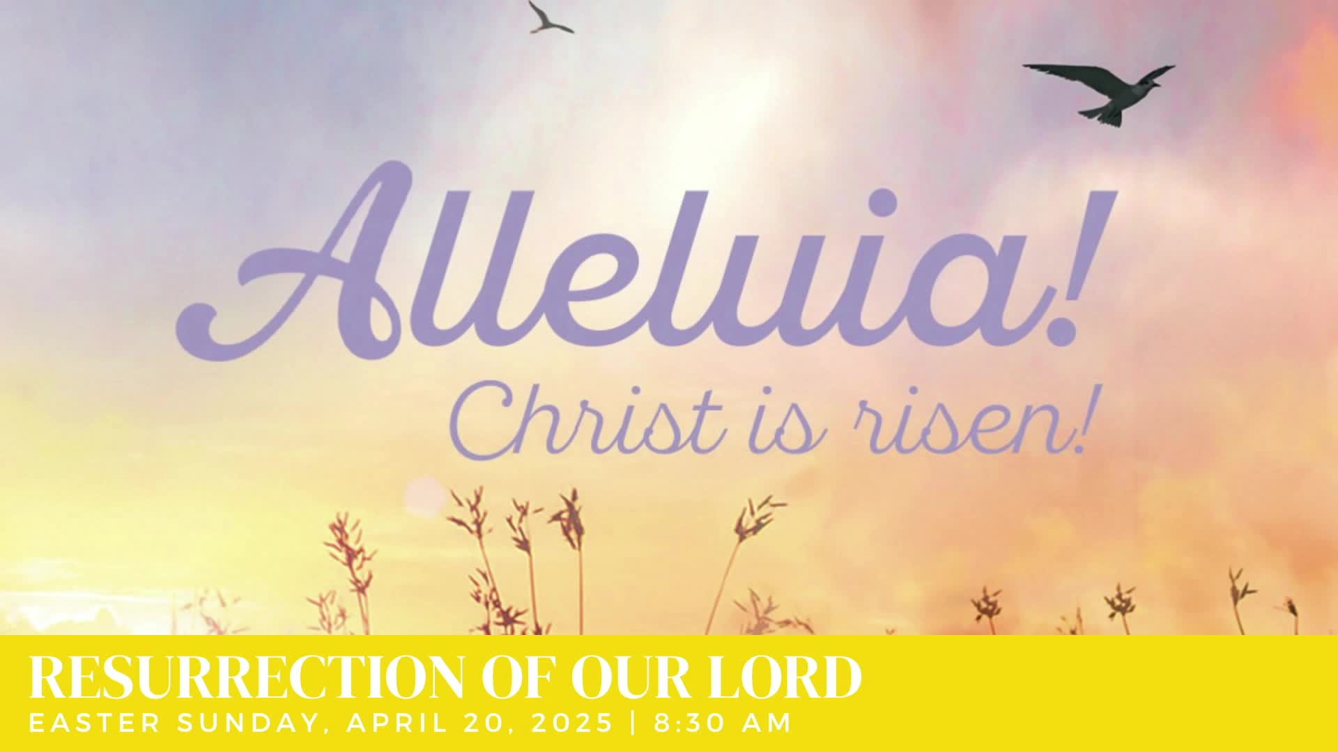 Thumbnail image for Our Savior's Lutheran Church - Easter Sunday - 4.20.25
