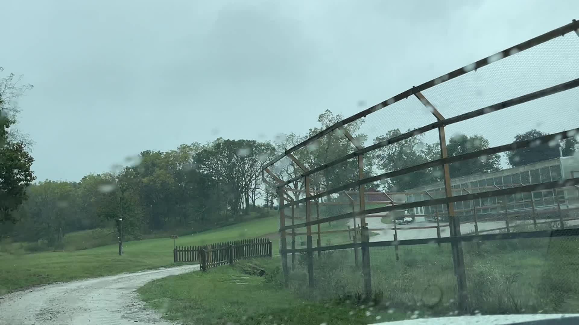 Thumbnail image for Cooking and Kids with Vlada Vladic - Rare Seeds and Sweet Beet Salad